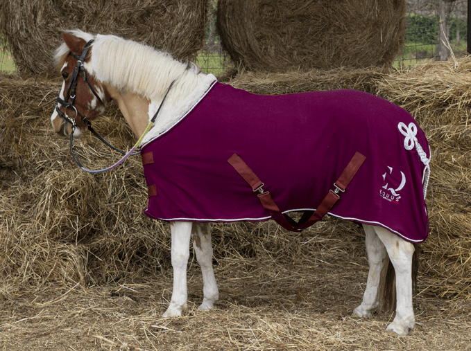 EQUUS BRAND  COPERTA INVERNALE IN PILE PRUGNA